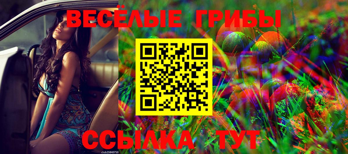 Сосновоборск  Галлюциногенные грибы мухоморы  Вход с VPN  Псилоцибиновые грибы мухоморы 
