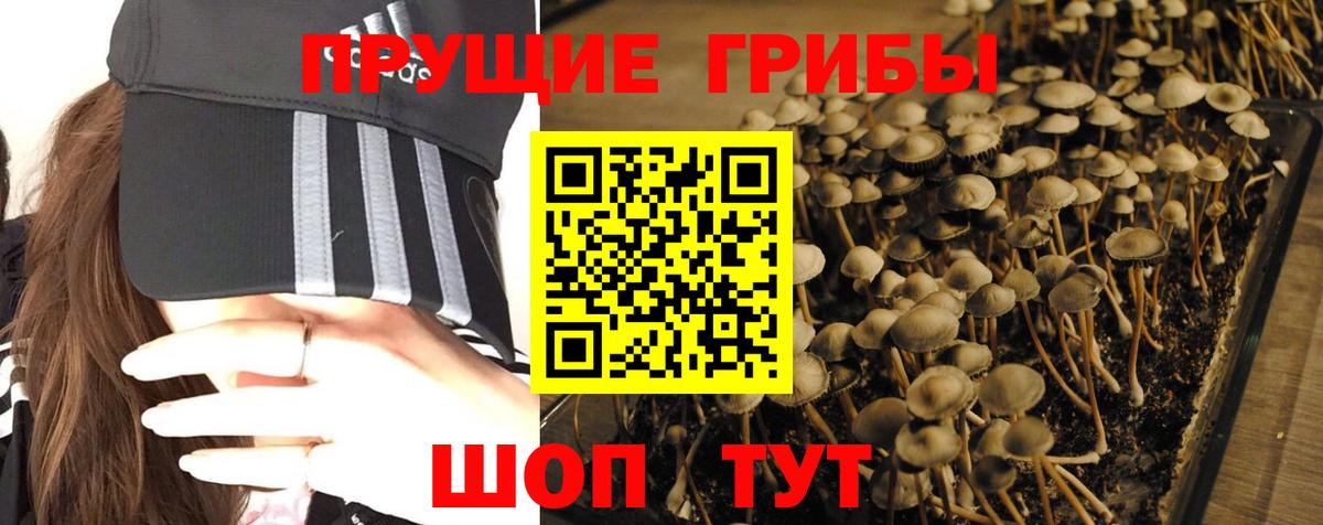 Псилоцибиновые грибы ЛСД Сосновоборск